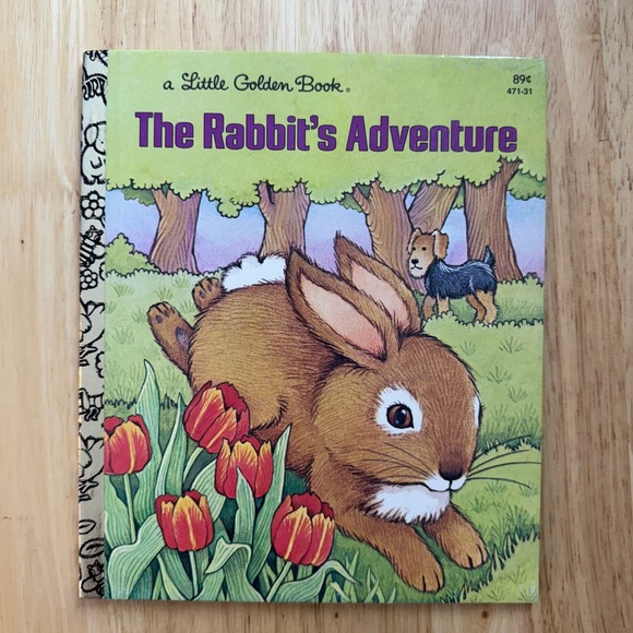 Little Golden Books Other - The Rabbits Adventure Little Golden Book Betty Ren Wright Vintage Childrens Book